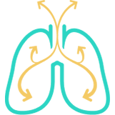Lung Function Icon