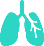 Lung Icon