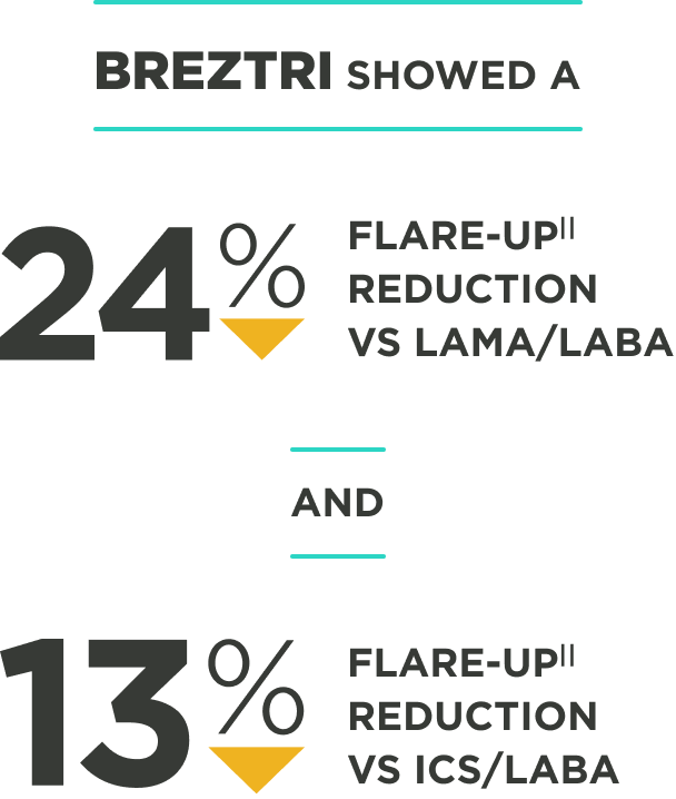 24%-flareup